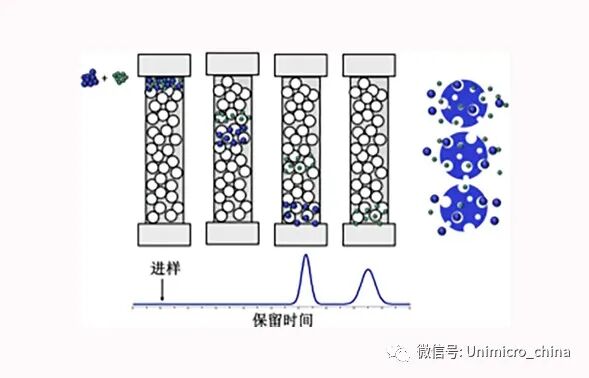 111.jpg 图片